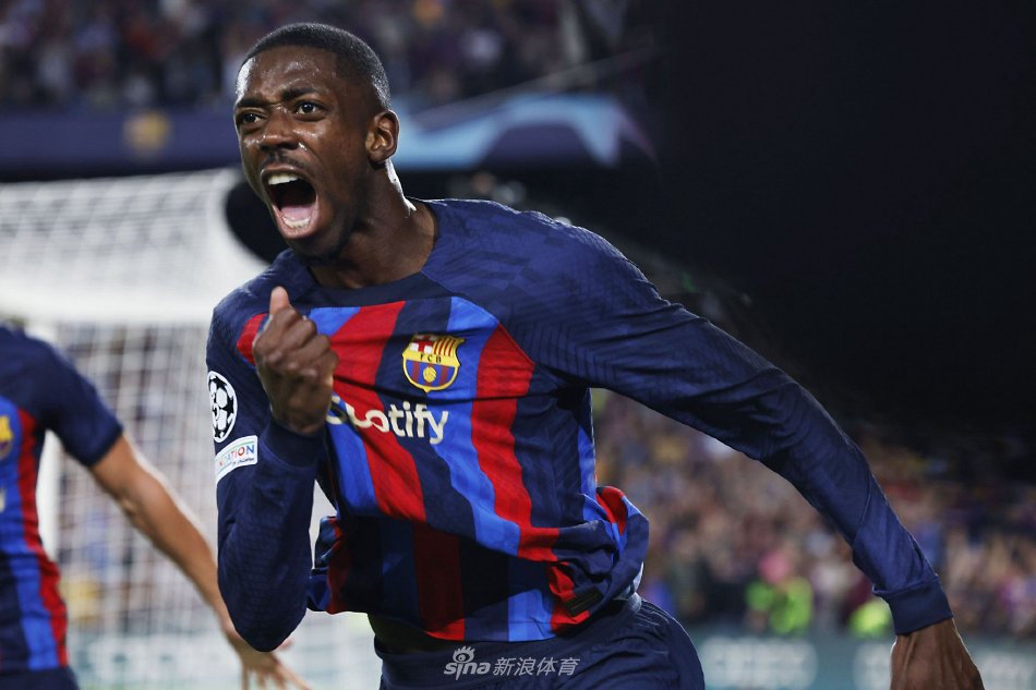 进行细分 进行细分